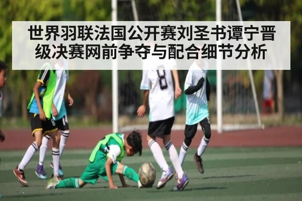 世界羽联法国公开赛刘圣书谭宁晋级决赛网前争夺与配合细节分析